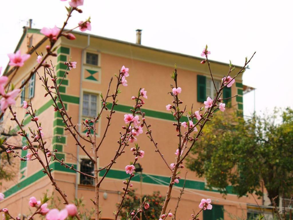 Appartamento Di Prestigio- Ca Da Lina - Deiva Marina Bagian luar foto