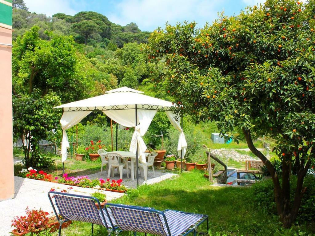 Appartamento Di Prestigio- Ca Da Lina - Deiva Marina Bagian luar foto